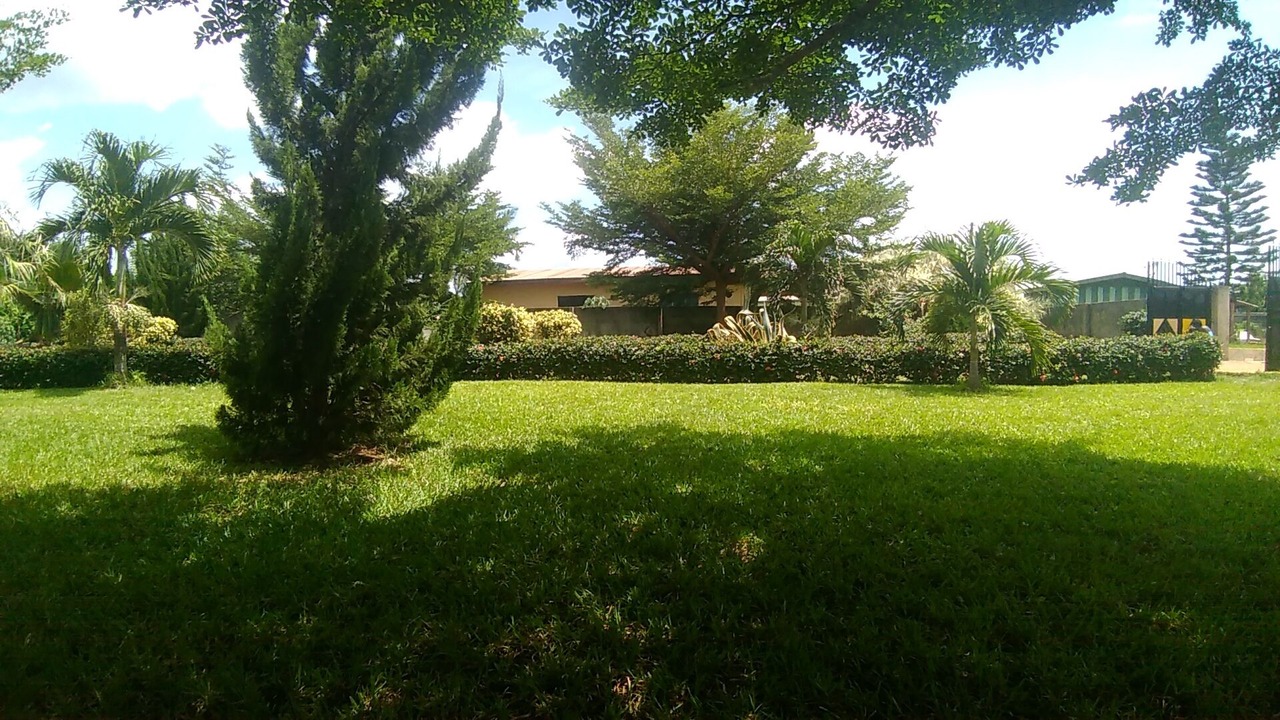 Photo of Outdoor in Pepease