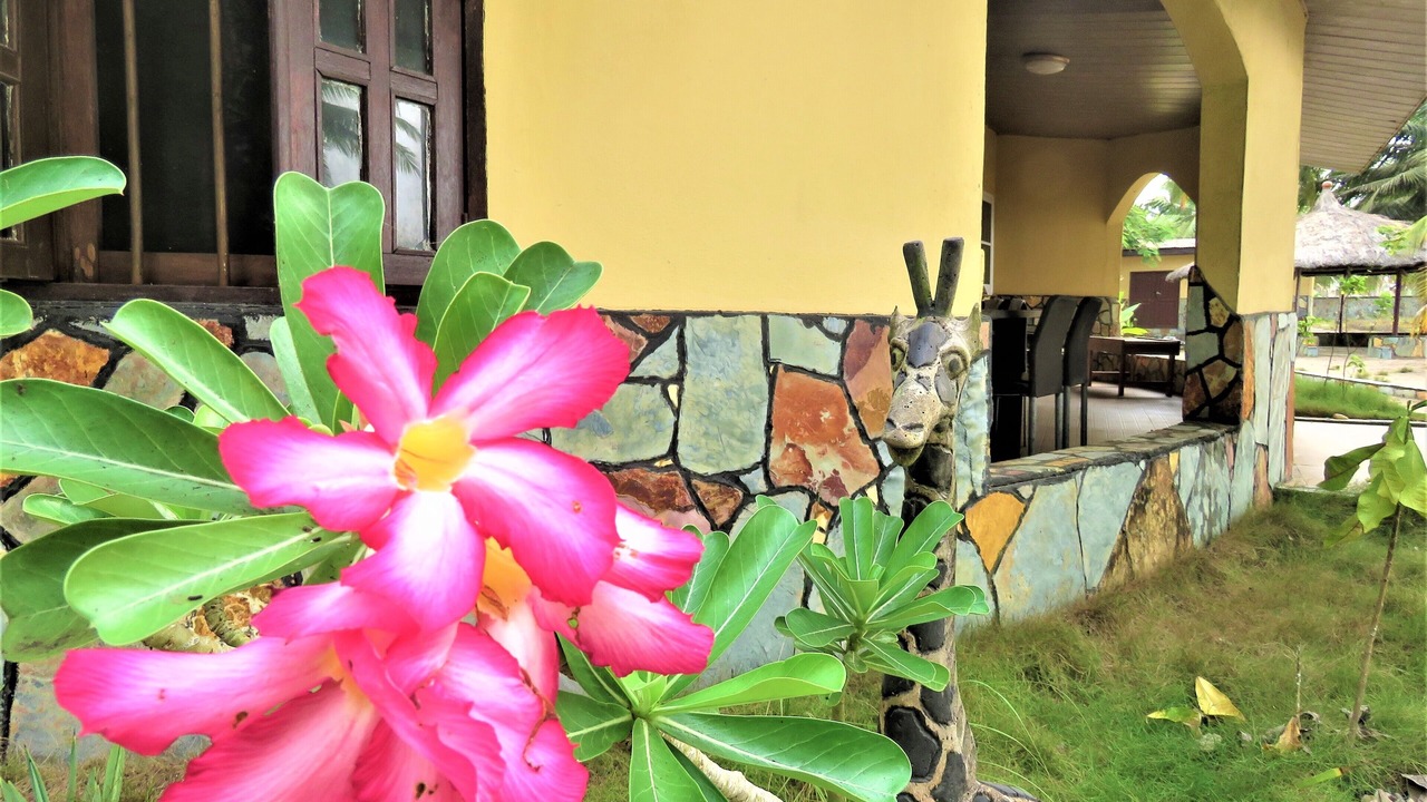 Photo of Outdoor in Ampenyi