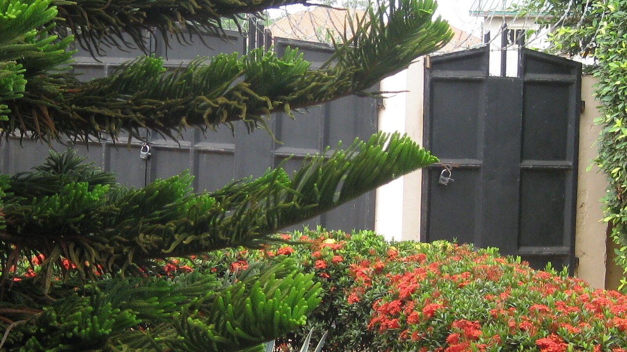 Photo of Outdoor in Adenta