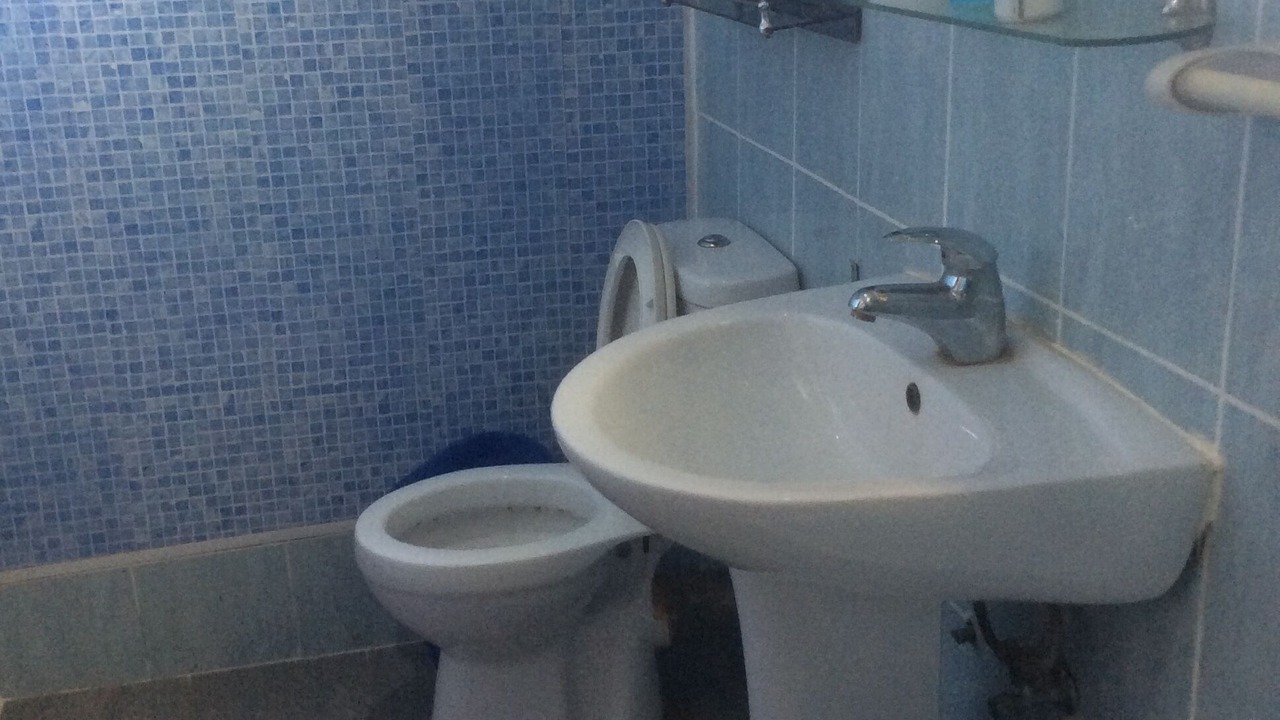 Photo of Bathroom in Adenta