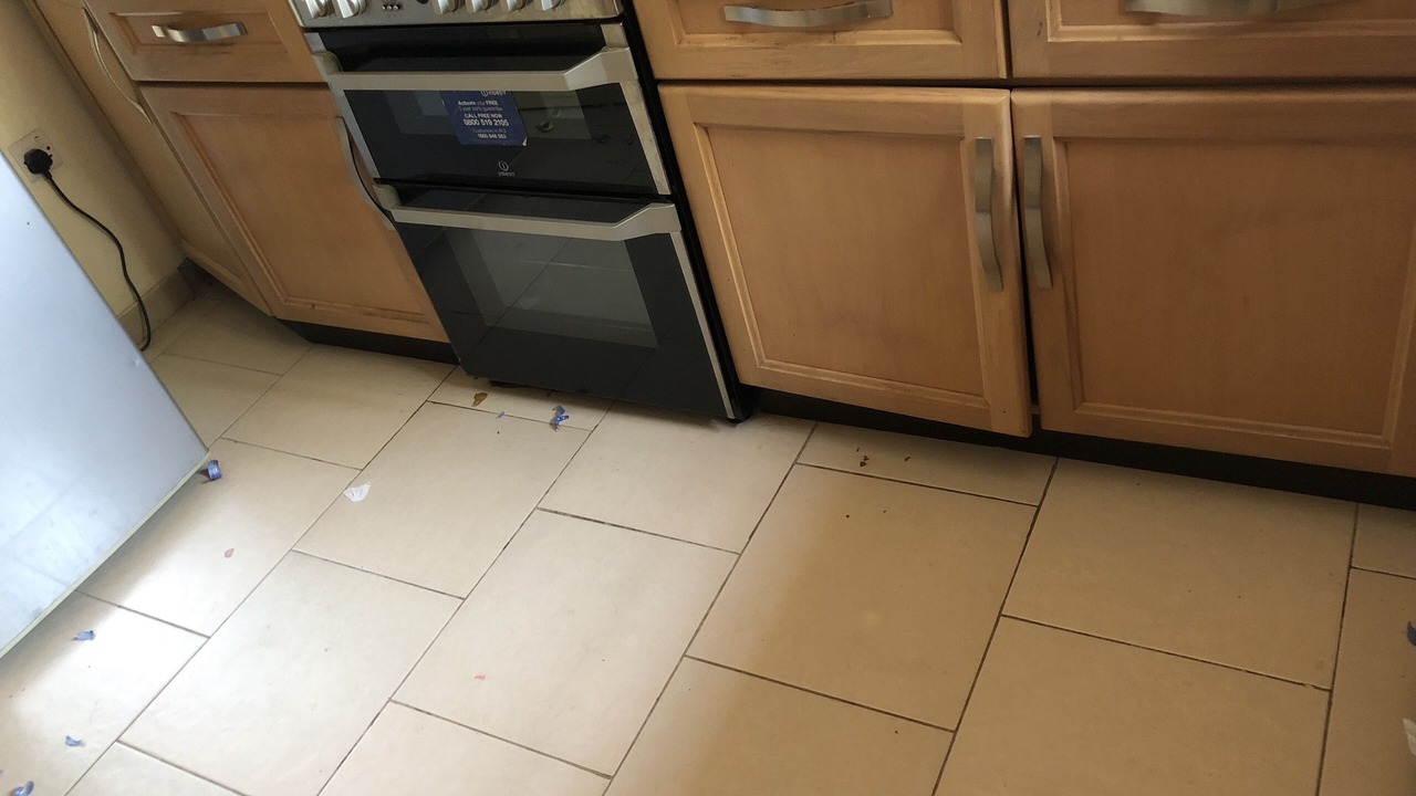 Photo of Kitchen in Prampram