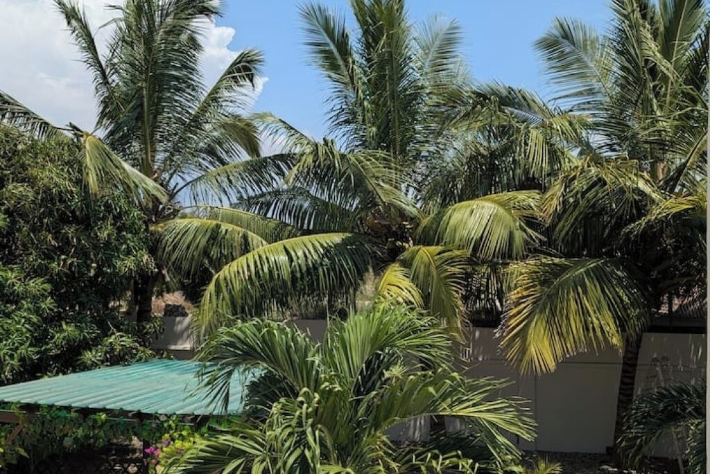 Photo of Outdoor in Prampram