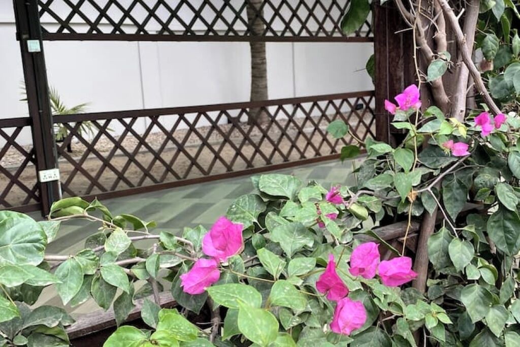 Photo of Outdoor in Prampram