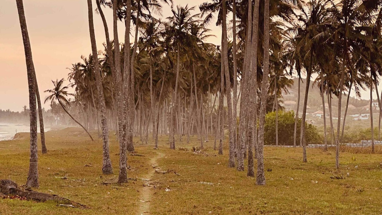 Photo of Others in Winneba