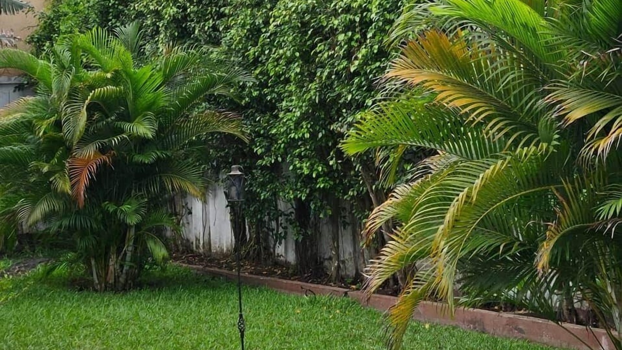 Photo of Outdoor in Teshie