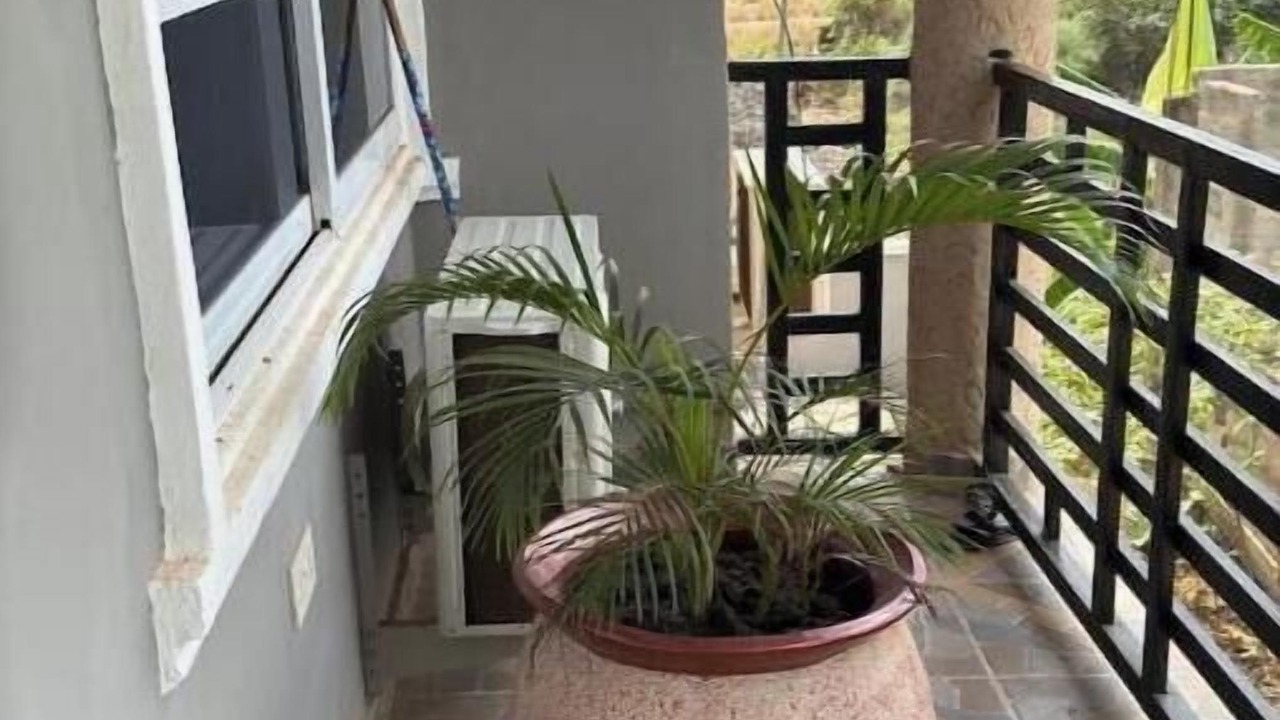 Photo of Outdoor in Afienya