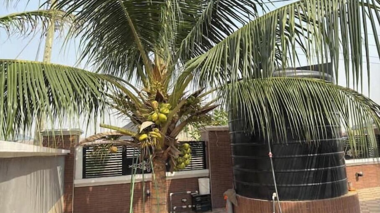 Photo of Outdoor in Afienya