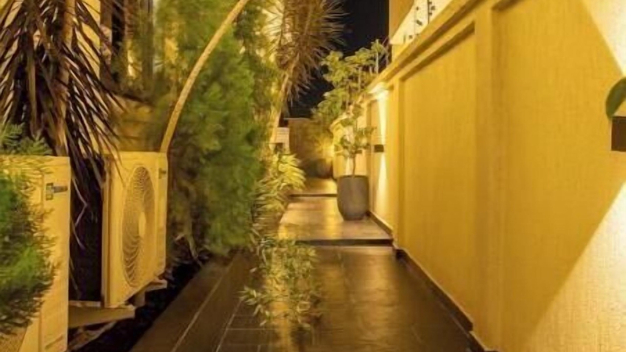 Photo of Outdoor in Madina