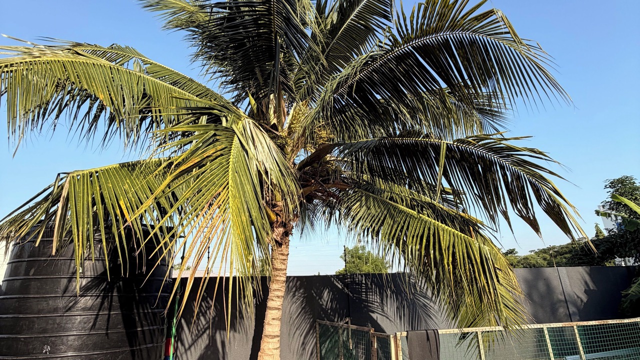Photo of Outdoor in Dzorwulu