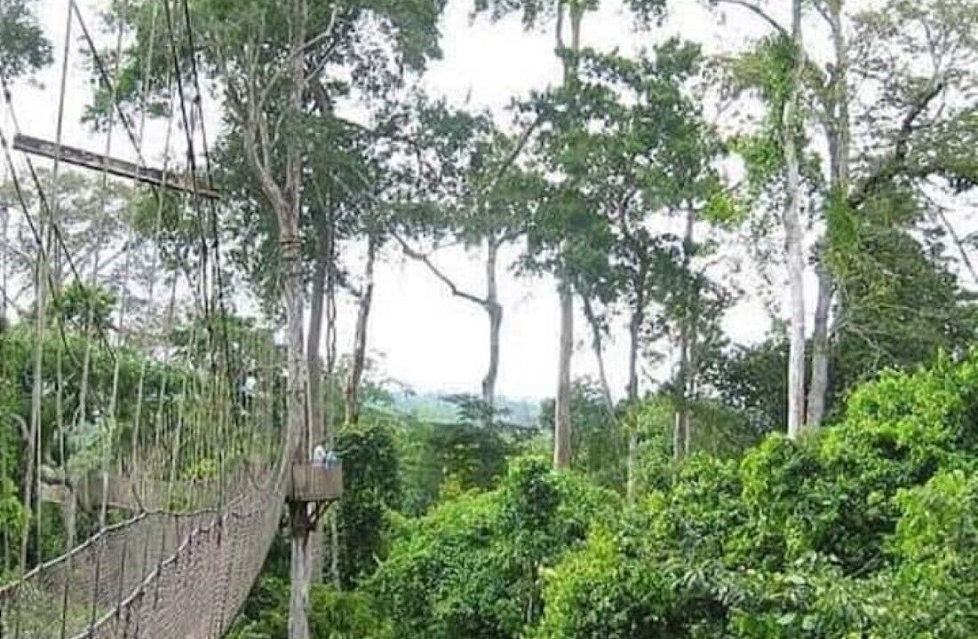 Photo of Others in Central Region