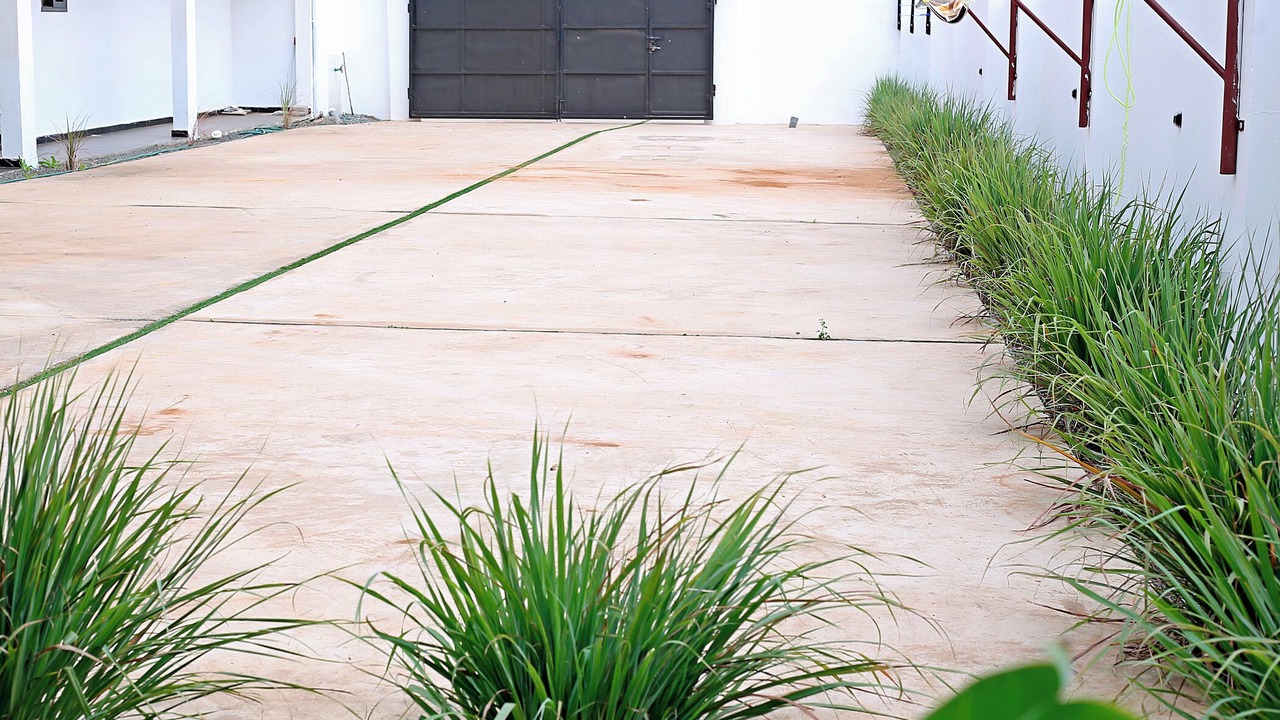 Photo of Outdoor in Tema