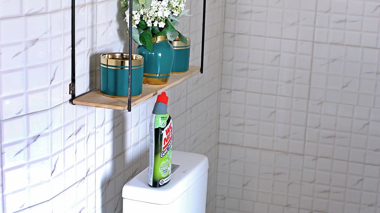 Photo of Bathroom in Tema
