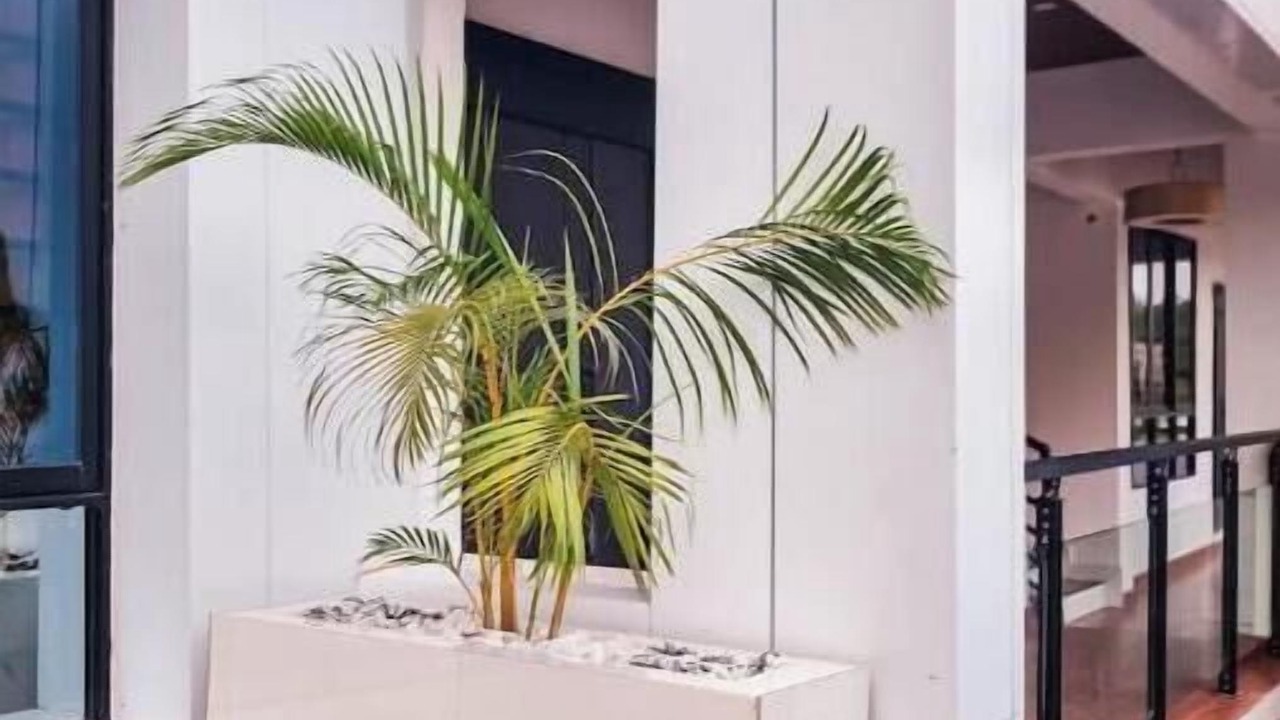 Photo of Outdoor in Sekondi-Takoradi