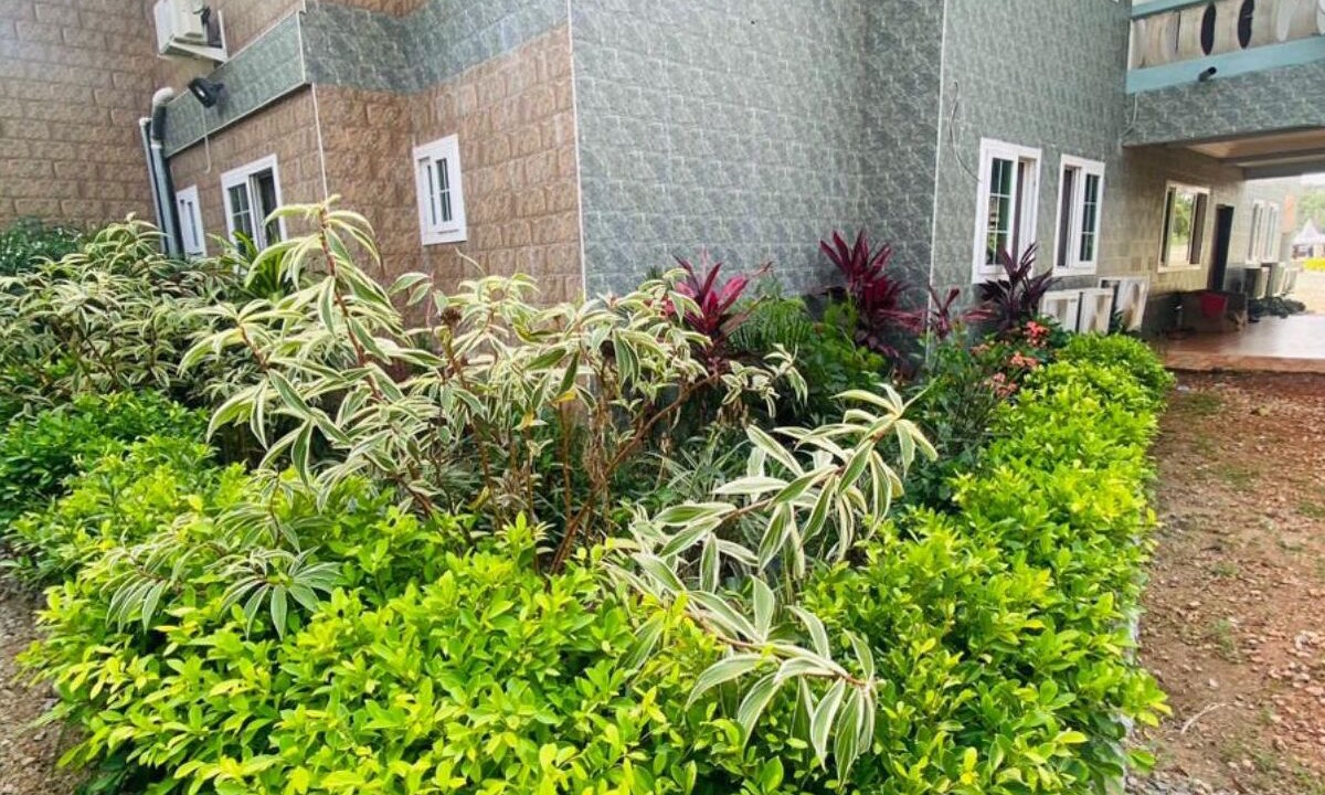 Photo of Outdoor in Cape Coast