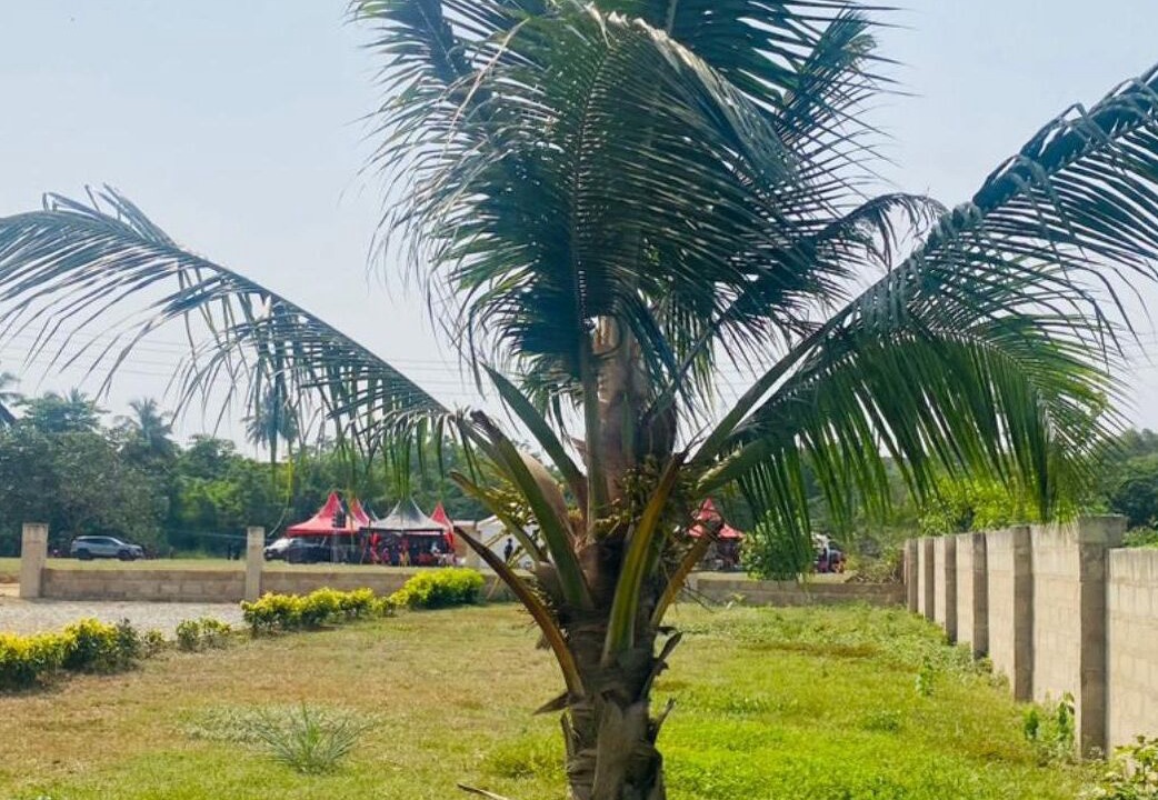 Photo of Outdoor in Cape Coast