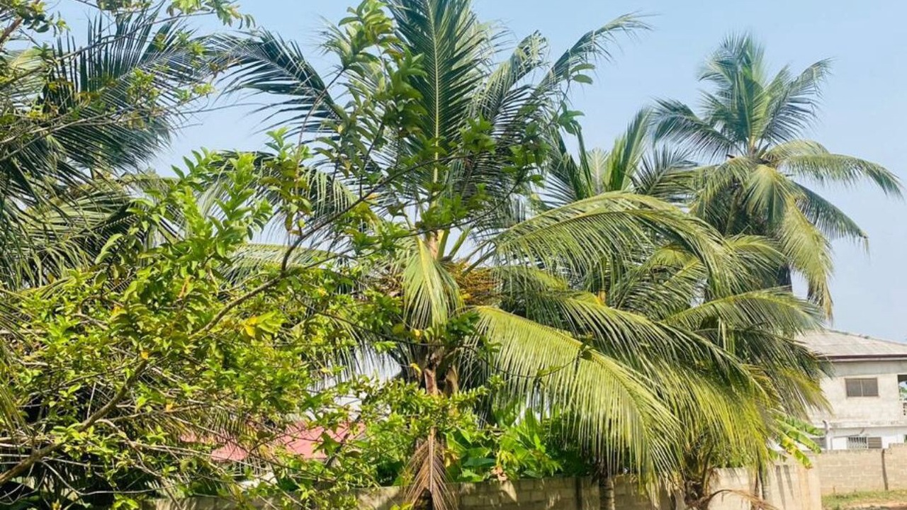 Photo of Outdoor in Cape Coast