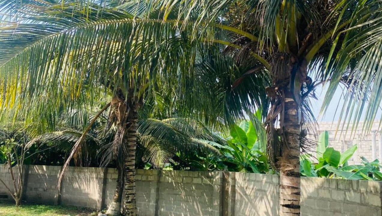 Photo of Outdoor in Cape Coast