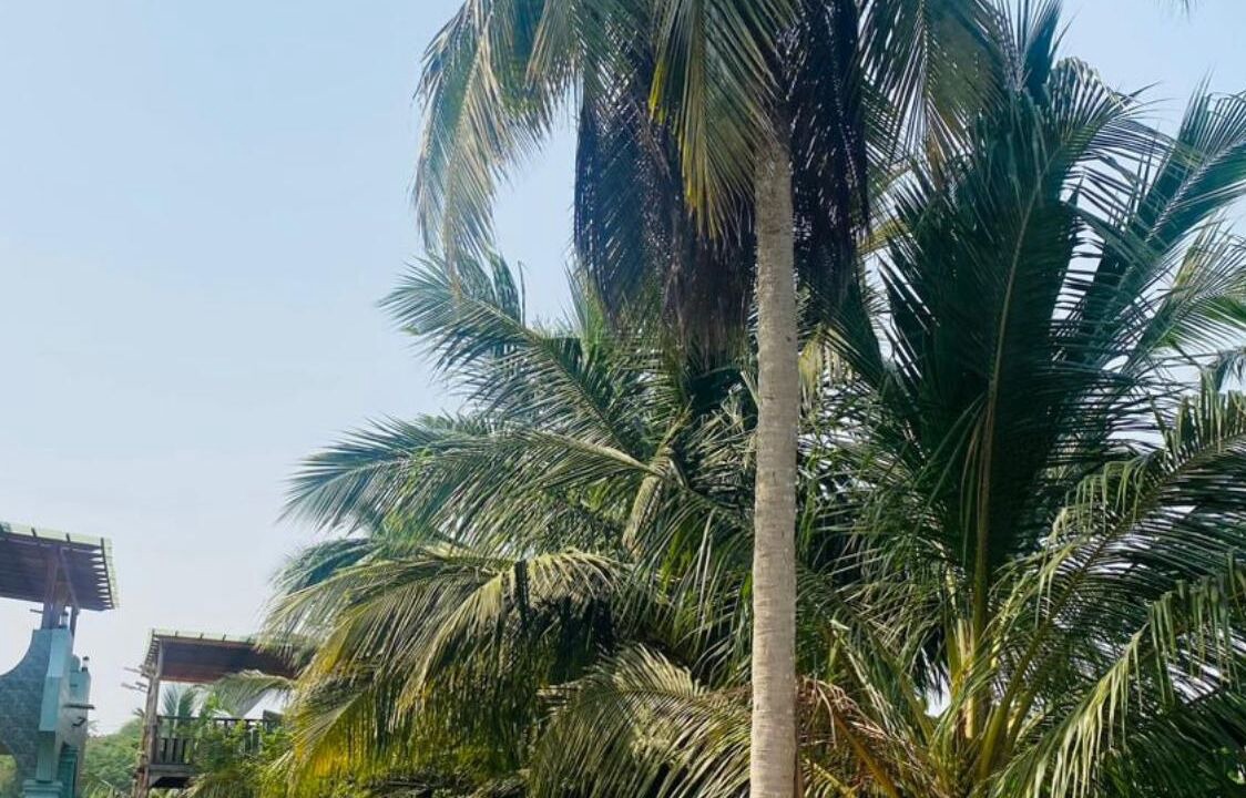 Photo of Others in Cape Coast
