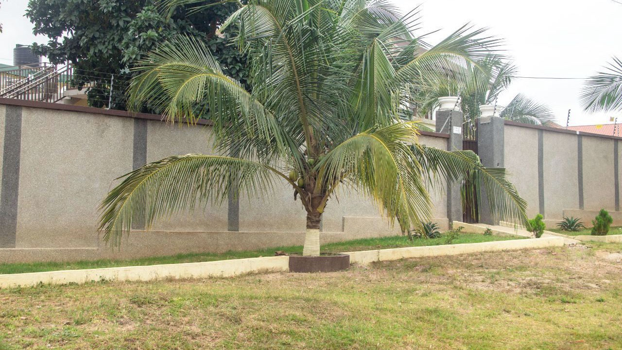 Photo of Outdoor in Kumasi