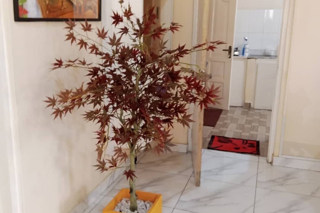 Photo of Livingroom in Dzorwulu