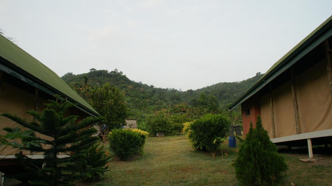 Photo of Others in Kuntanse