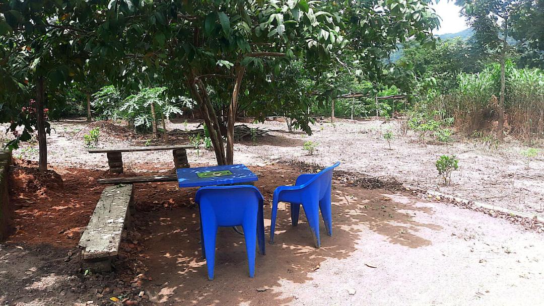 Photo of Others in Togo