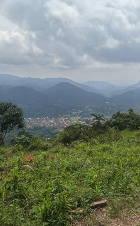 Photo of Others in Togo