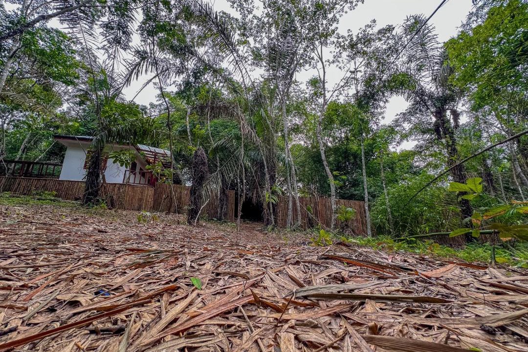 Photo of Others in Lower Denkyira