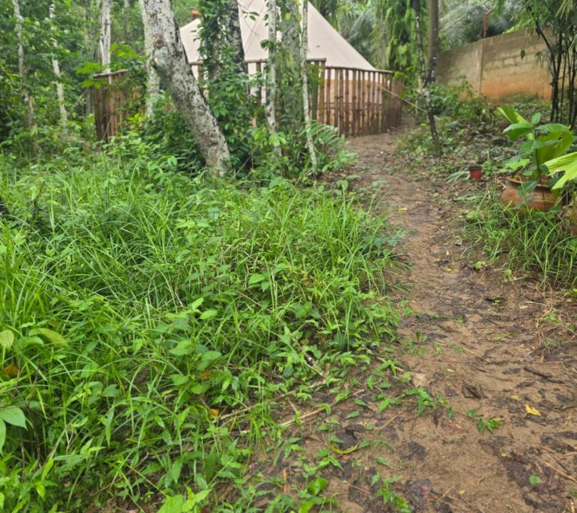 Photo of Others in Lower Denkyira