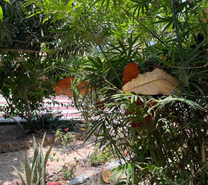 Photo of Others in Kokrobite