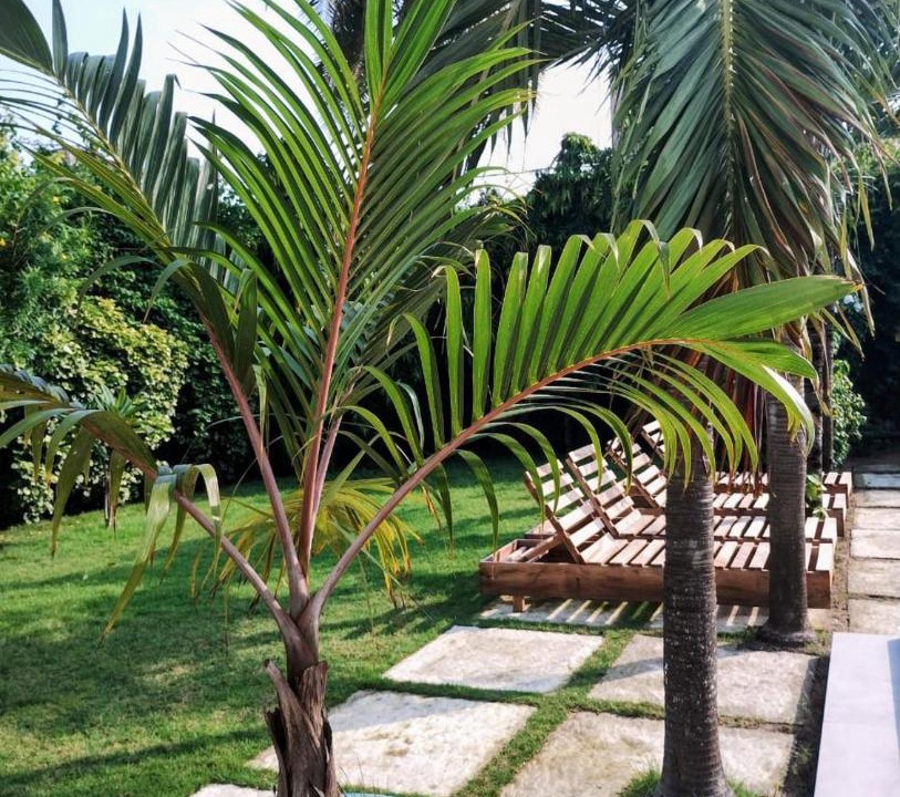 Photo of Others in Lome