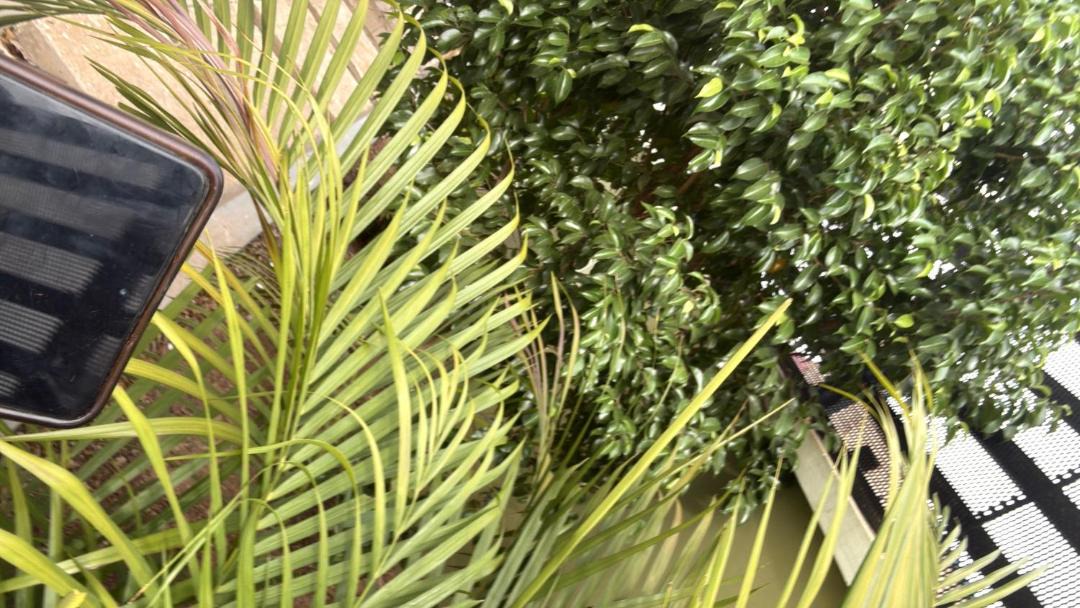 Photo of Outdoor in Tamale