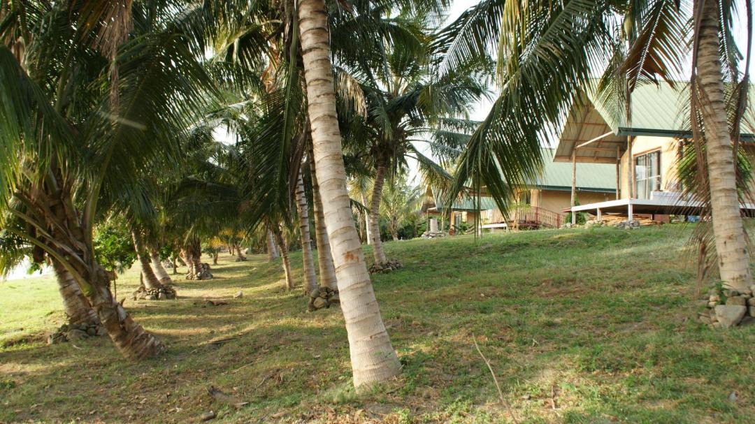 Photo of Others in Kuntanse