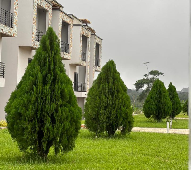 Photo of Others in Obosomase