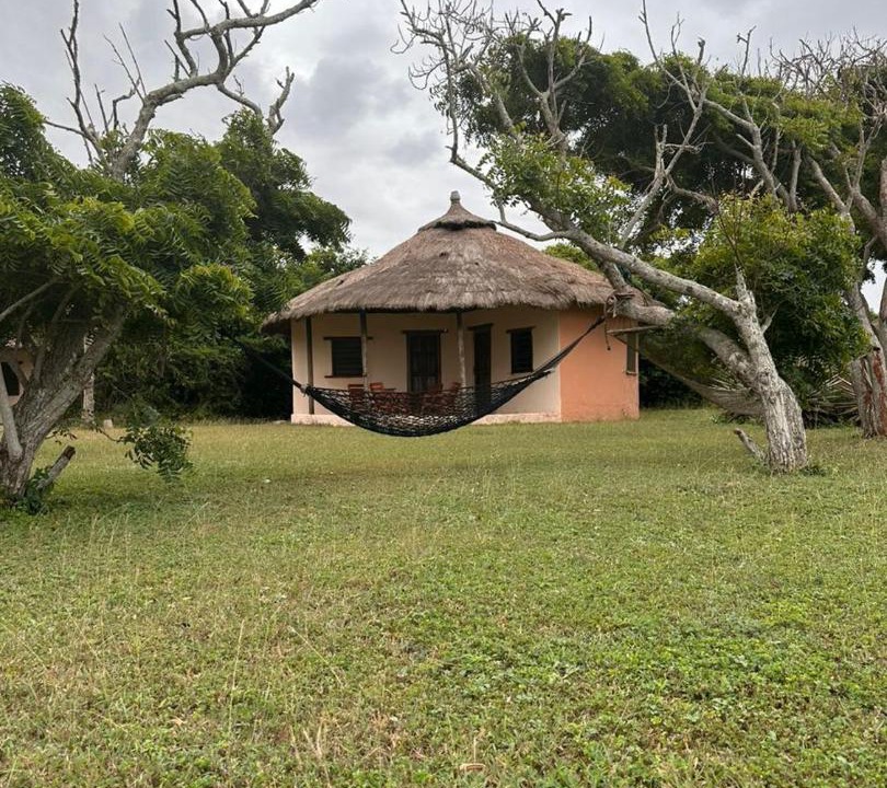 Photo of Others in Nyanyanu