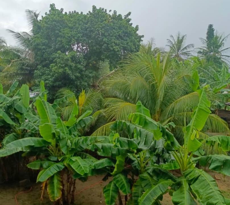 Photo of Others in Busua