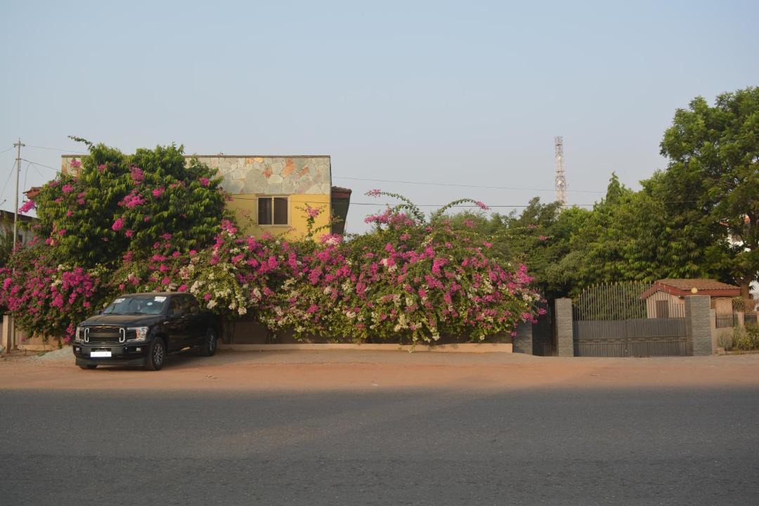 Photo of Others in Teshie