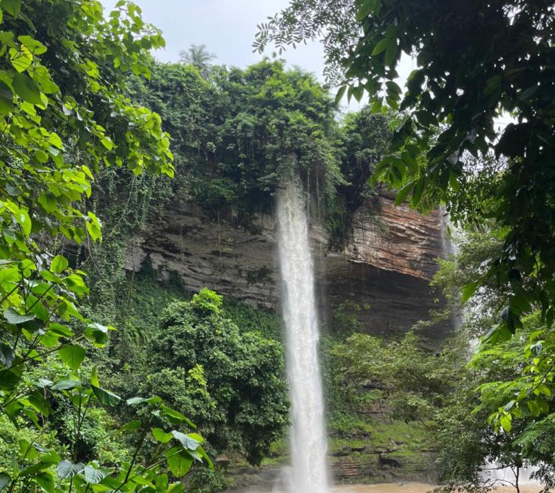 Photo of Others in Nyanyanu