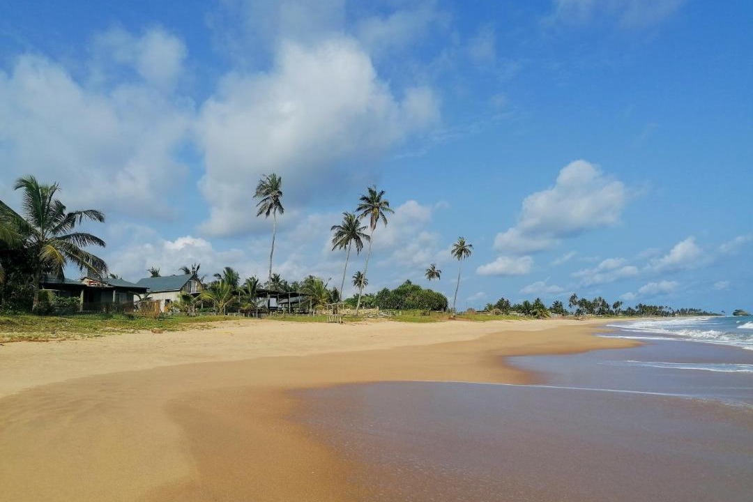Photo of Others in Busua