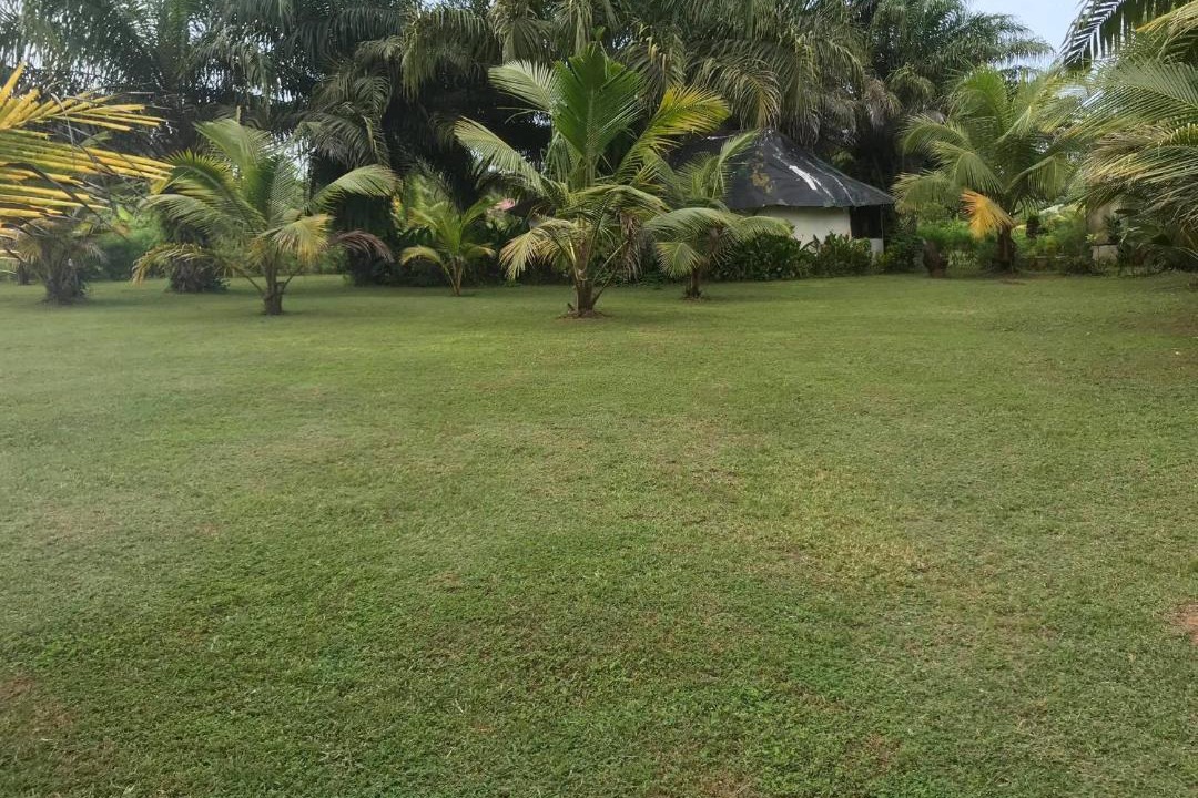 Photo of Others in Busua