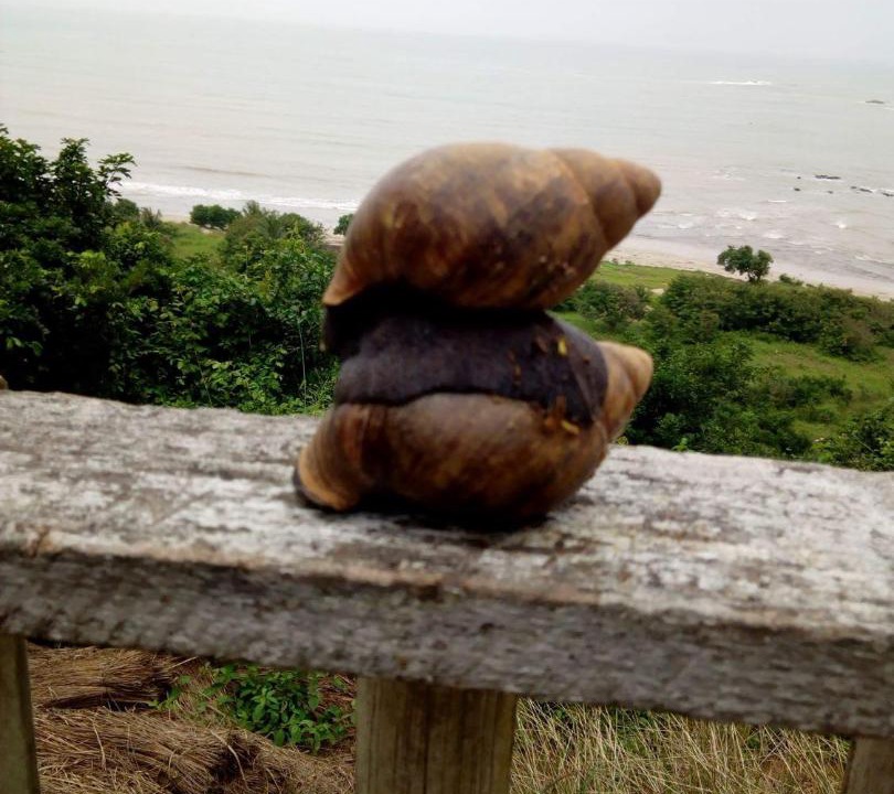 Photo of Others in Akyinim