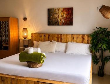 Deluxe King Suite