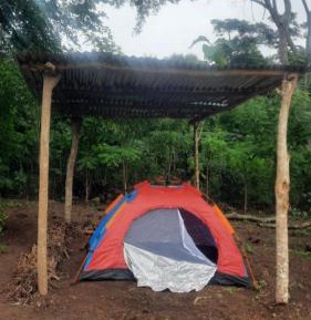Room #1715413501