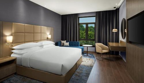 Deluxe King Room with City View