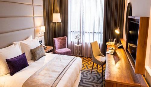 Standard King Room