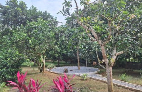Kyebi House | Foasis lodge kyebi gh