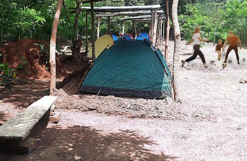 Togo Other | Felicity Cos camping