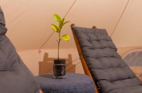 Lower Denkyira Hotel | Barreo Nova Eco Resort