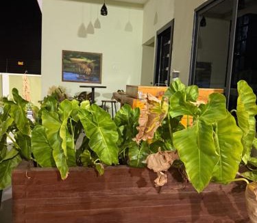 Tamale Apartment | Palm Pebbles Staycation has Solar, 2bed & starlink
