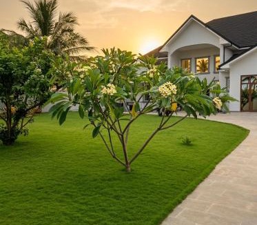 Tema Villa | J&N's Place